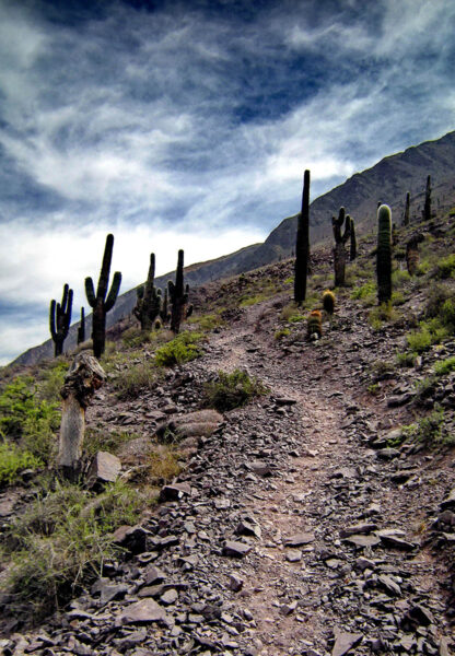 Trekking Salta - Incamayo